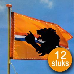 Oranje Versiering | 12 stuks Oranje Vlag 60 x 90 cm | EK Voetbal Holland met leeuw